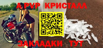 2c-b Кингисепп