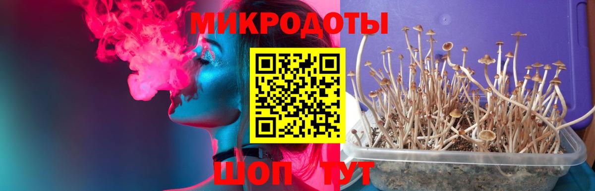 Воскресенск  Псилоцибиновые грибы Psilocybe  Вход с VPN 